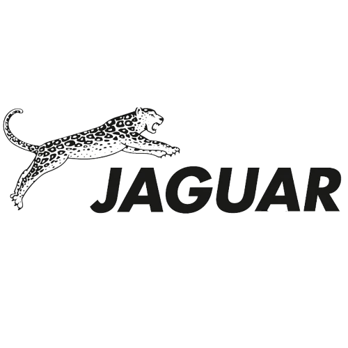 Browse The Best Collection of Jaguar Hair Cutting & Thinning Scissors From Germany