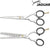 Jaguar Pre Style Ergo Hair Cutting & Thinning Set - Japan Scissors