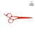 Joewell Colour C Hair Scissors Kit - Japan Scissors