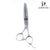 Juntetsu Chomper 10 Teeth Thinning Scissors - Japan Scissors